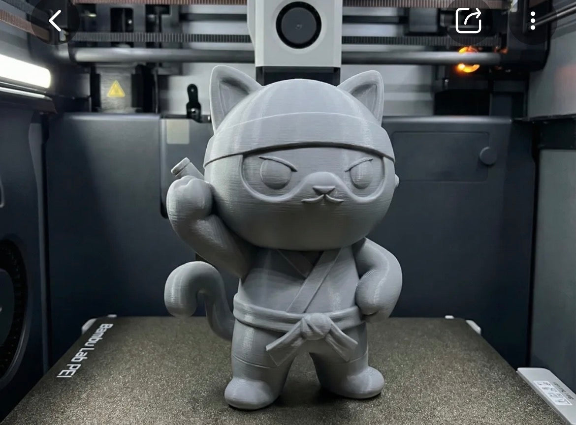 3d Printed Ninja Cat